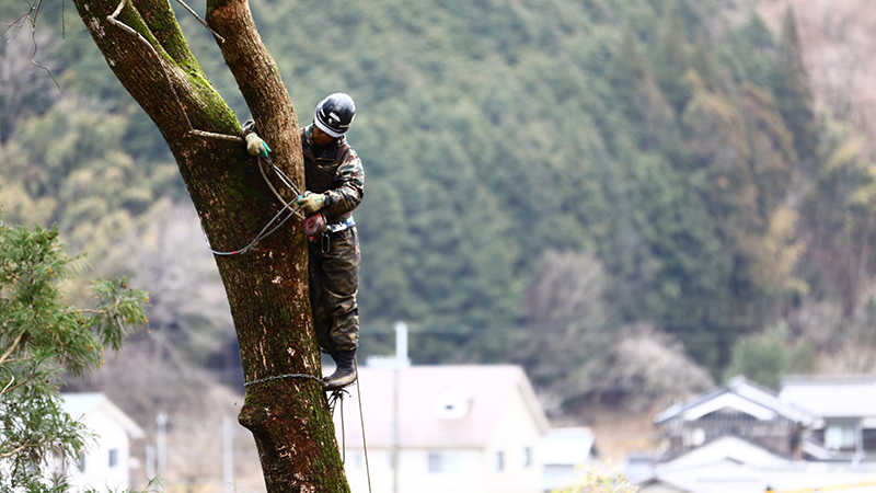 熟練空師による高品質サービス